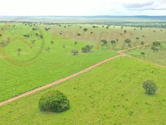 Fazenda venda em Região Geográfica Imediata de Barra do Garças, General Carneiro