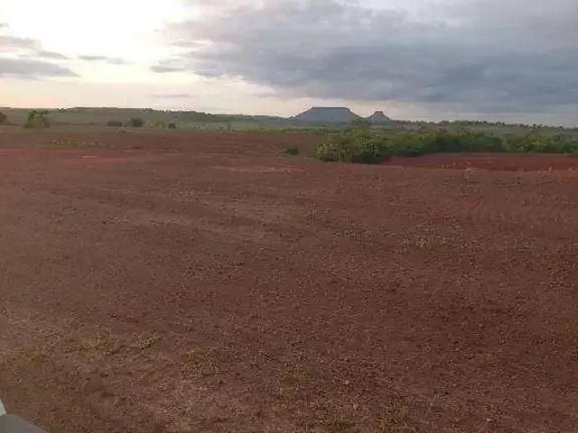 Fazenda venda em Região Geográfica Imediata de Barra do Garças, General Carneiro