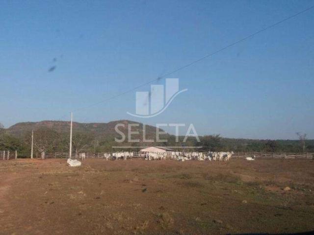 Fazenda venda em Região Geográfica Imediata de Barra do Garças, General Carneiro