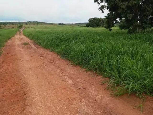 Fazenda venda em Região Geográfica Imediata de Barra do Garças, General Carneiro
