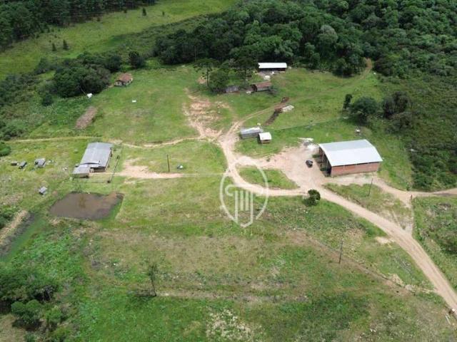 Fazenda venda em General Carneiro, Região Geográfica Intermediária de Barra do Garças
