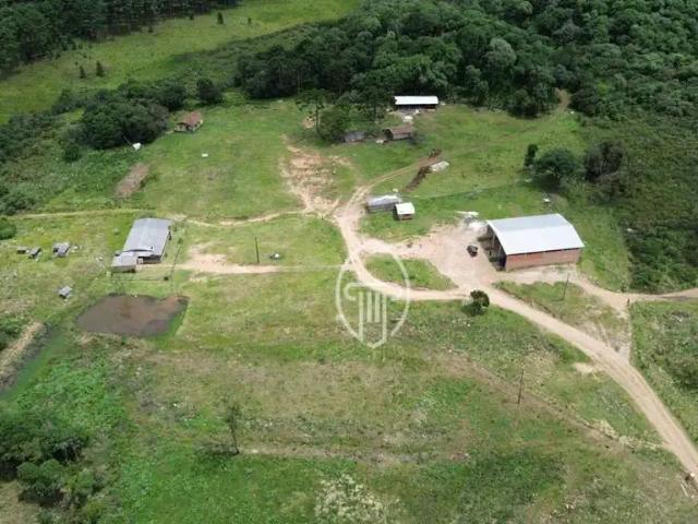 Fazenda venda em Região Geográfica Imediata de Barra do Garças, General Carneiro