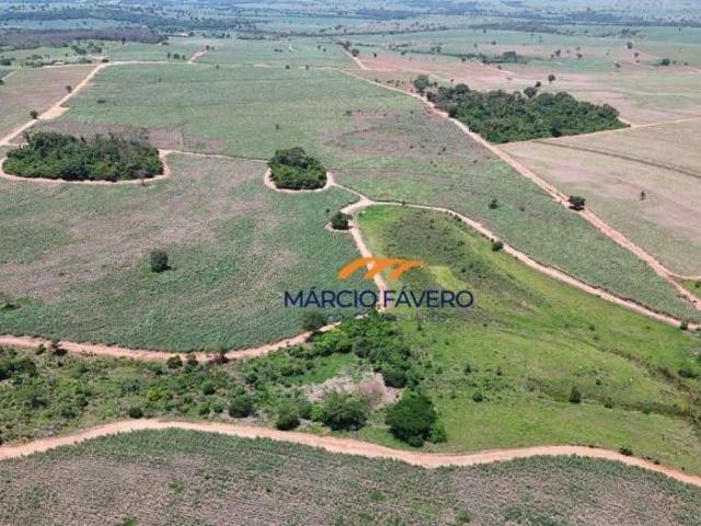 Sítio e chácara venda em General Salgado