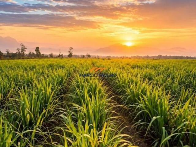 Sítio e chácara venda em General Salgado
