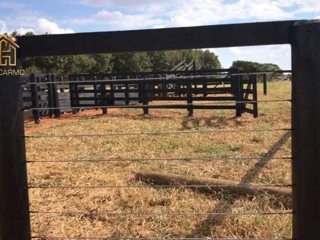 Fazenda venda em Região Imediata de Araçatuba, General Salgado