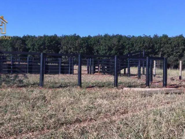 Fazenda venda em Região Imediata de Araçatuba, General Salgado