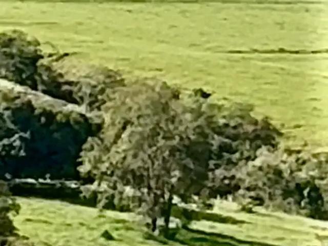 Fazenda venda em Região Geográfica Imediata de Ceres - Rialma - Goianésia, Goianésia