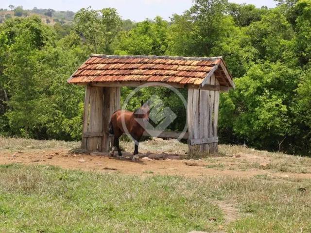 Fazenda venda em Região Geográfica Imediata de Ceres - Rialma - Goianésia, Goianésia