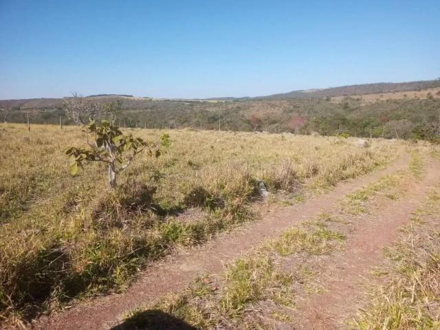 Fazenda venda em Região Geográfica Imediata de Goiânia, Goiânia