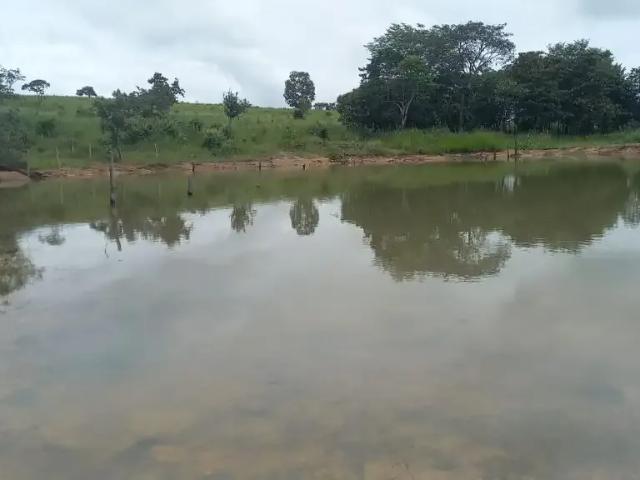 Fazenda venda em Região Geográfica Imediata de Goiânia, Aparecida de Goiânia