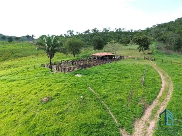 Fazenda venda em Região Geográfica Imediata de Goiânia, Goiânia