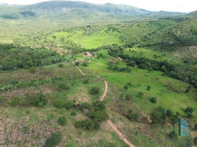 Fazenda venda em Região Geográfica Imediata de Goiânia, Goiânia