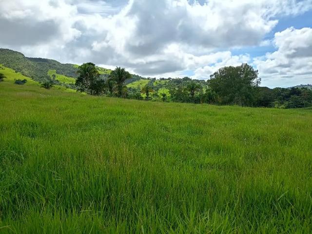 Fazenda venda em Região Geográfica Imediata de Goiânia, Goiânia