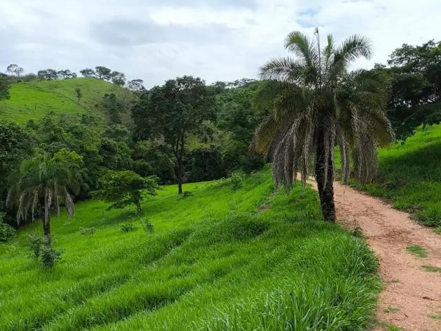 Fazenda venda em Região Geográfica Imediata de Goiânia, Goiânia