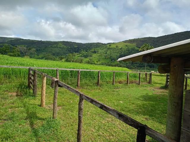 Fazenda venda em Região Geográfica Imediata de Goiânia, Goiânia