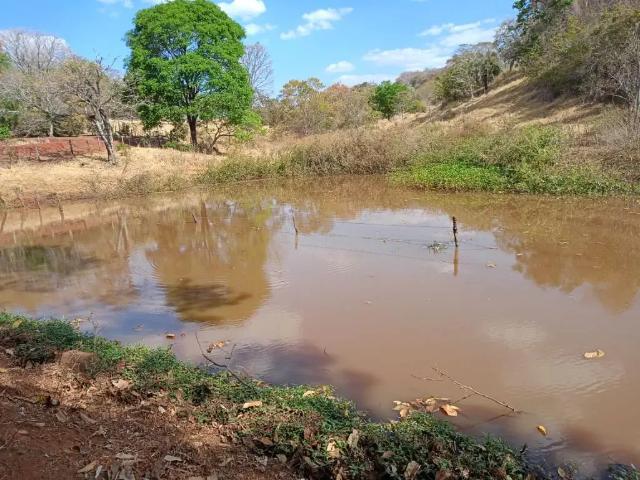 Fazenda venda em Região Geográfica Imediata de Goiânia, Goiânia