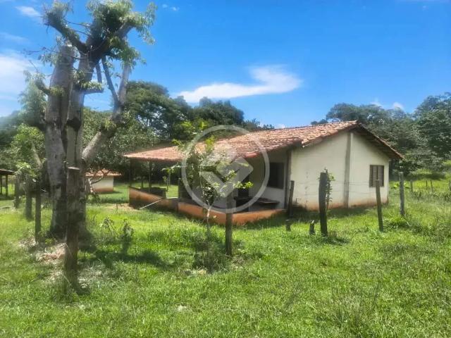 Fazenda venda em Região Geográfica Imediata de Goiás - Itapuranga, Goiás
