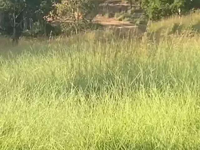 Fazenda venda em Região Geográfica Imediata de Goiás - Itapuranga, Goiás