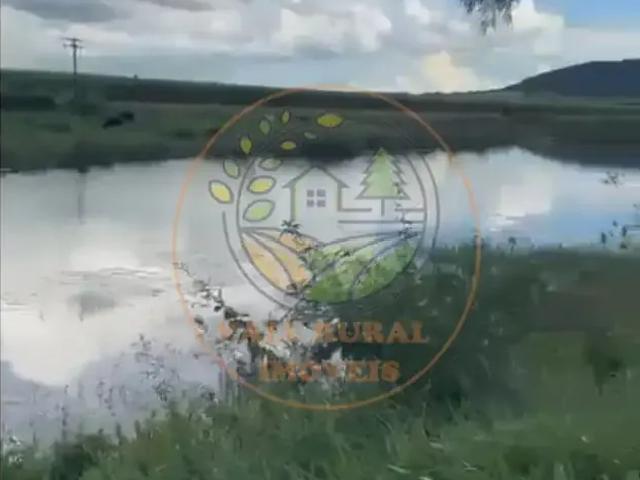 Fazenda venda em Região Geográfica Imediata de Goiás - Itapuranga, Goiás
