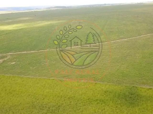 Fazenda venda em Região Geográfica Imediata de Goiás - Itapuranga, Goiás