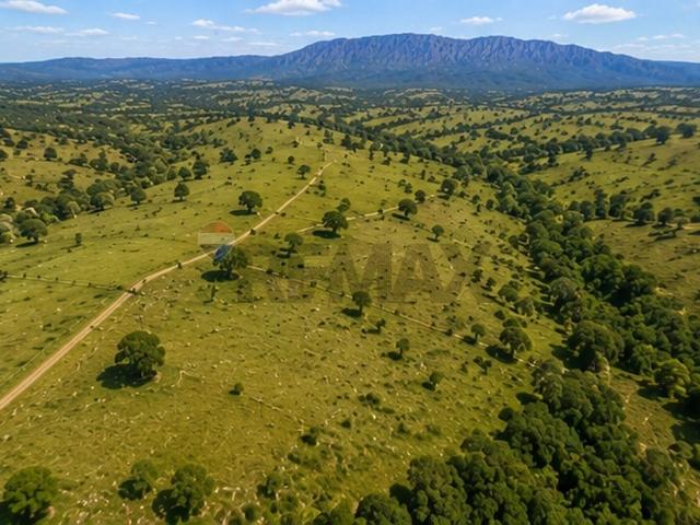 Fazenda venda em Região Geográfica Imediata de Goiás - Itapuranga, Goiás