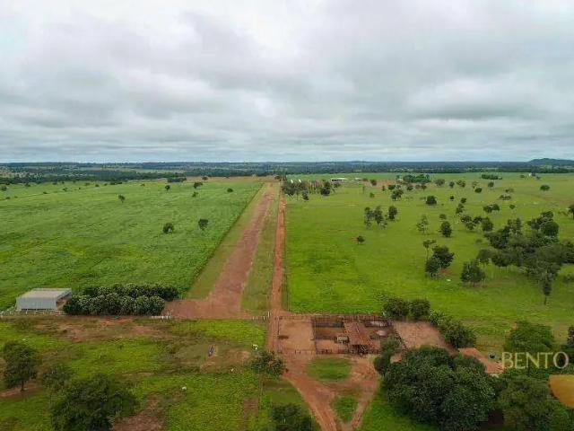 Fazenda venda em Região Geográfica Imediata de Porangatu, Porangatu