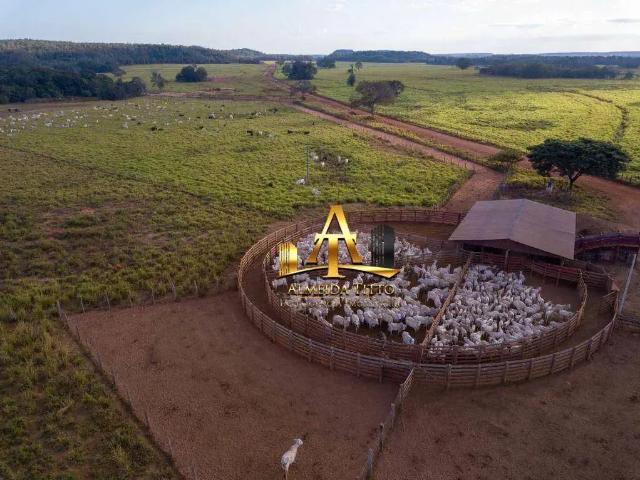 Fazenda venda em Região Geográfica Imediata de Araguaína, Goiatins