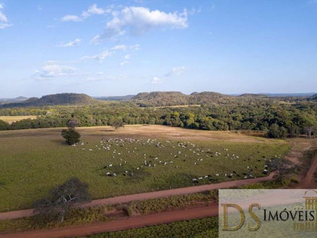 Fazenda venda em Região Geográfica Imediata de Araguaína, Goiatins