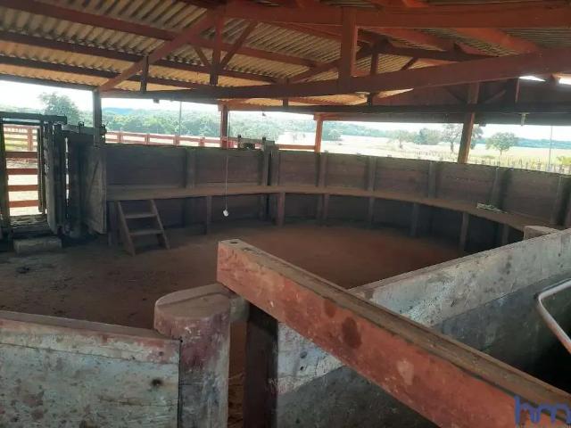 Fazenda venda em Região Geográfica Imediata de Araguaína, Goiatins