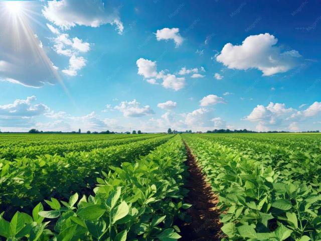 Fazenda venda em Centro, Goioerê