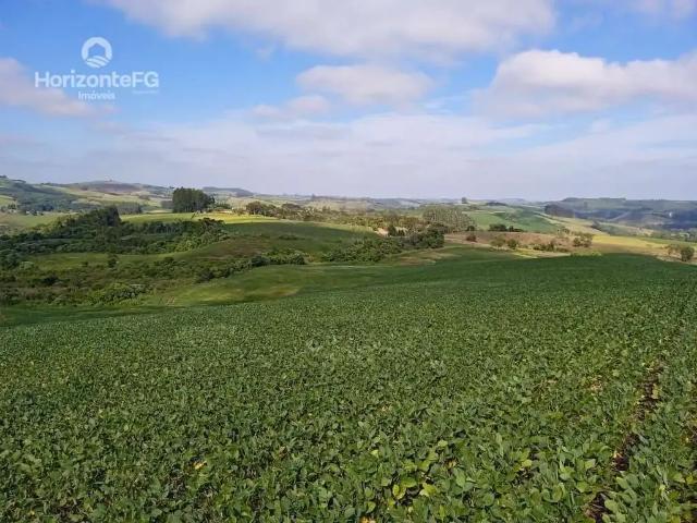 Fazenda venda em Região Geográfica Imediata de Guarapuava, Goioxim