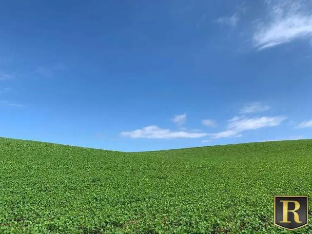 Fazenda venda em Região Geográfica Imediata de Guarapuava, Goioxim