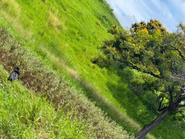 Fazenda venda em Região Geográfica Imediata de Governador Valadares, Governador Valadares