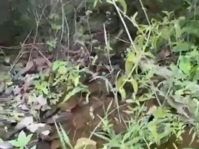 Sítio e chácara venda em Região Geográfica Imediata de Montes Claros, Grão Mogol