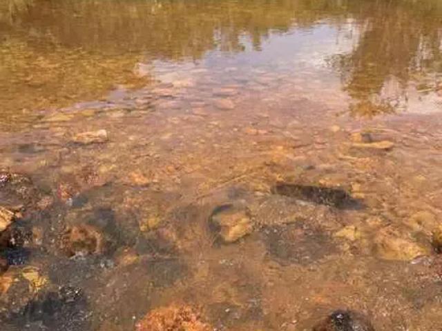 Fazenda venda em Região Geográfica Imediata de Montes Claros, Grão Mogol