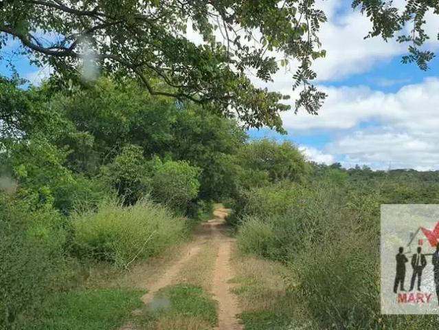 Fazenda venda em Região Geográfica Imediata de Montes Claros, Montes Claros