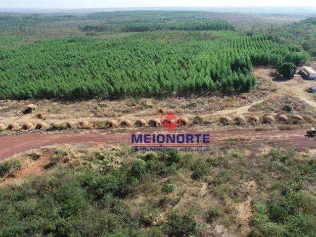 Fazenda venda em Grajaú, Região Nordeste