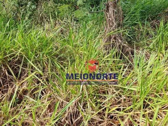 Fazenda venda em Turiaçu, Região Nordeste