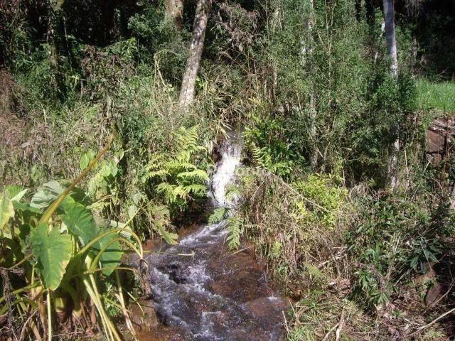 Fazenda venda em Região Geográfica Imediata de Caxias do Sul, Gramado