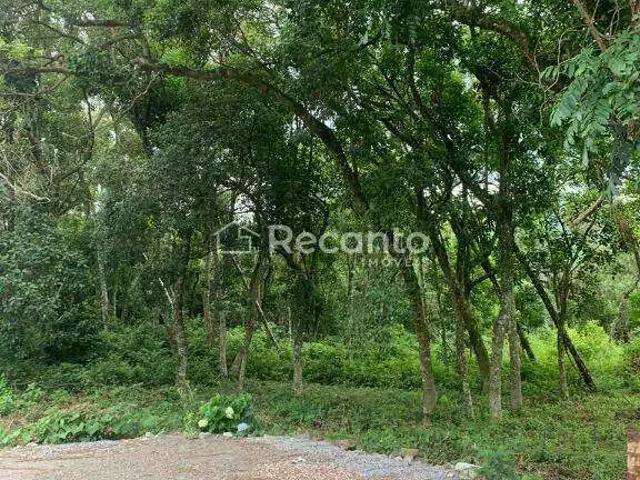 Fazenda venda em Região Geográfica Imediata de Caxias do Sul, Gramado