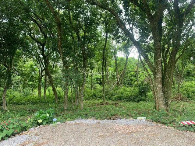 Fazenda venda em Região Geográfica Imediata de Caxias do Sul, Gramado