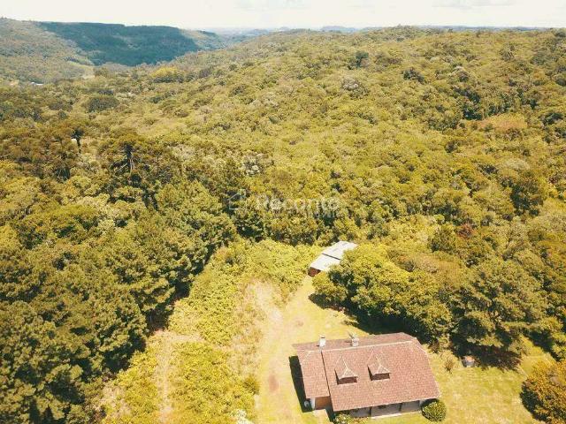 Fazenda venda em Região Geográfica Imediata de Caxias do Sul, Gramado