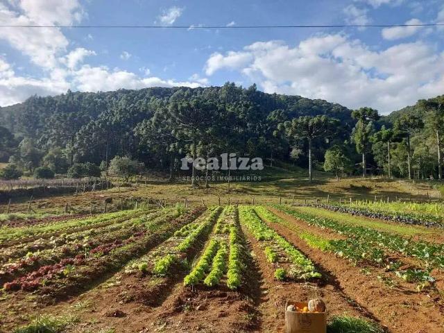 Fazenda venda em Região Geográfica Imediata de Caxias do Sul, Gramado
