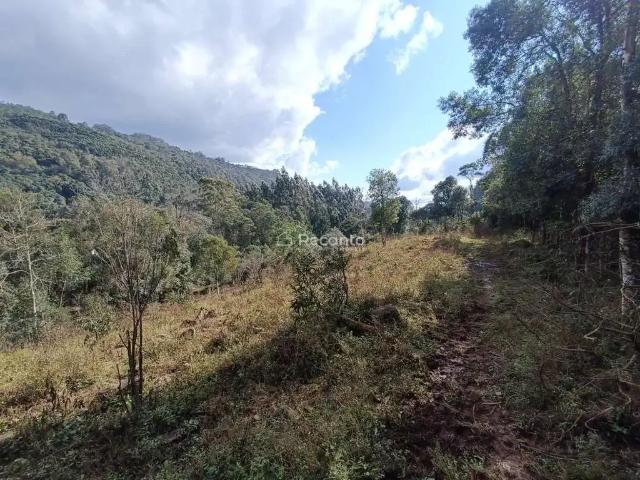 Fazenda venda em Região Geográfica Imediata de Caxias do Sul, Gramado