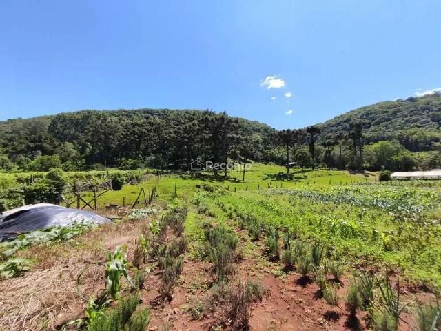 Fazenda venda em Região Geográfica Imediata de Caxias do Sul, Gramado