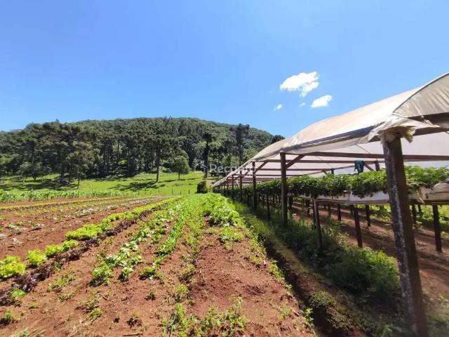 Fazenda venda em Região Geográfica Imediata de Caxias do Sul, Gramado
