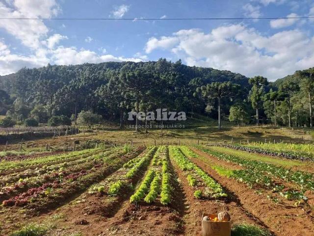 Fazenda venda em Região Geográfica Imediata de Caxias do Sul, Gramado