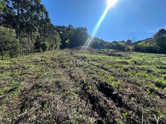 Fazenda venda em Região Geográfica Imediata de Caxias do Sul, Gramado