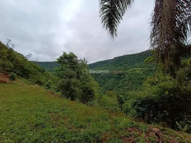 Fazenda venda em Região Geográfica Imediata de Caxias do Sul, Gramado