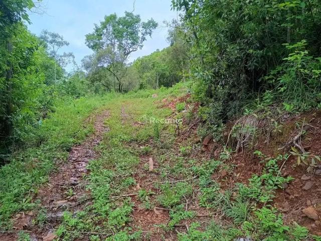 Fazenda venda em Região Geográfica Imediata de Caxias do Sul, Gramado